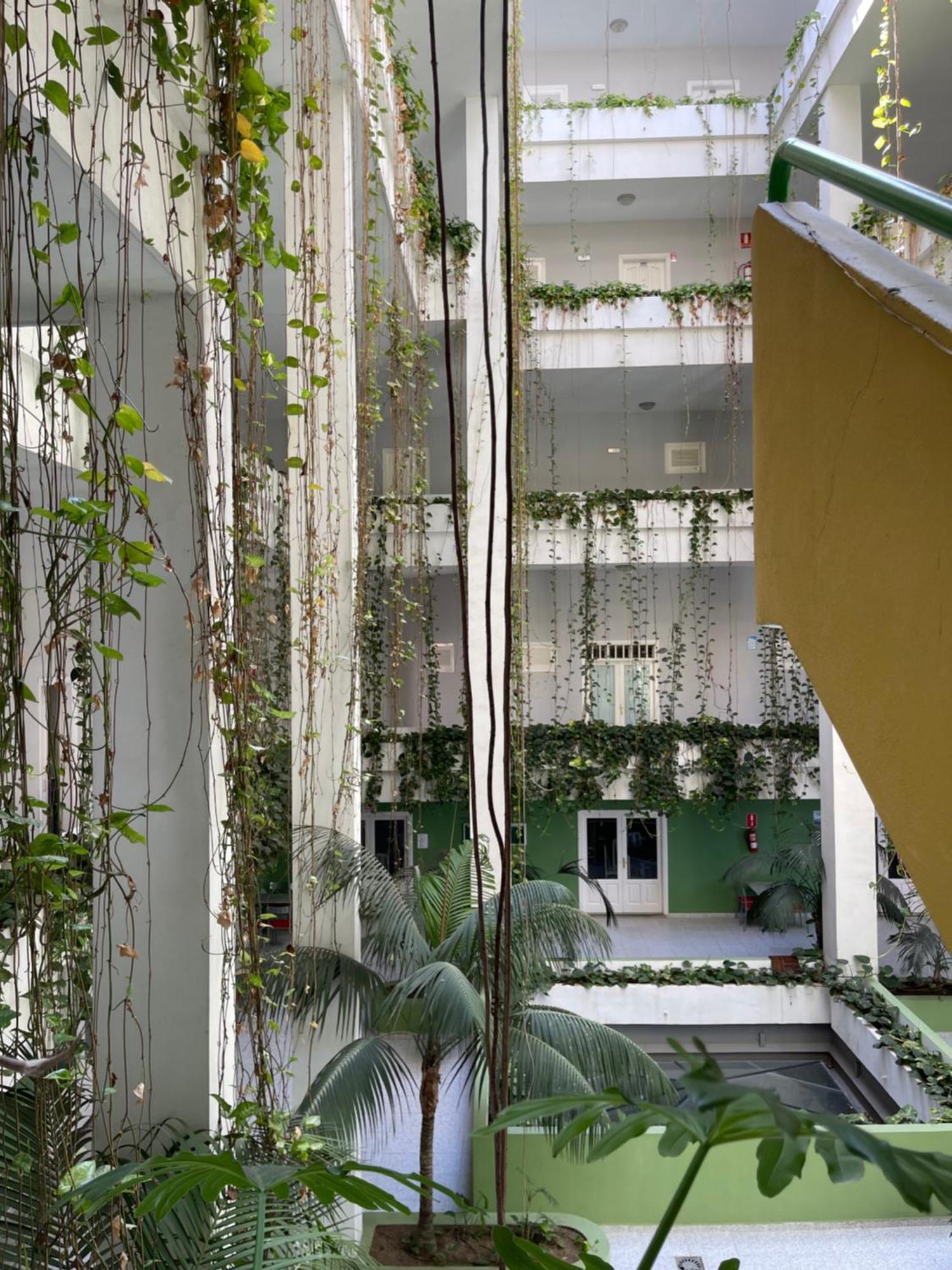 Apartamento Bahia I Puerto de la Cruz  Exterior foto